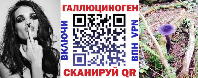 Псилоцибиновые грибы Psilocybe как найти закладки Усть-Илимск